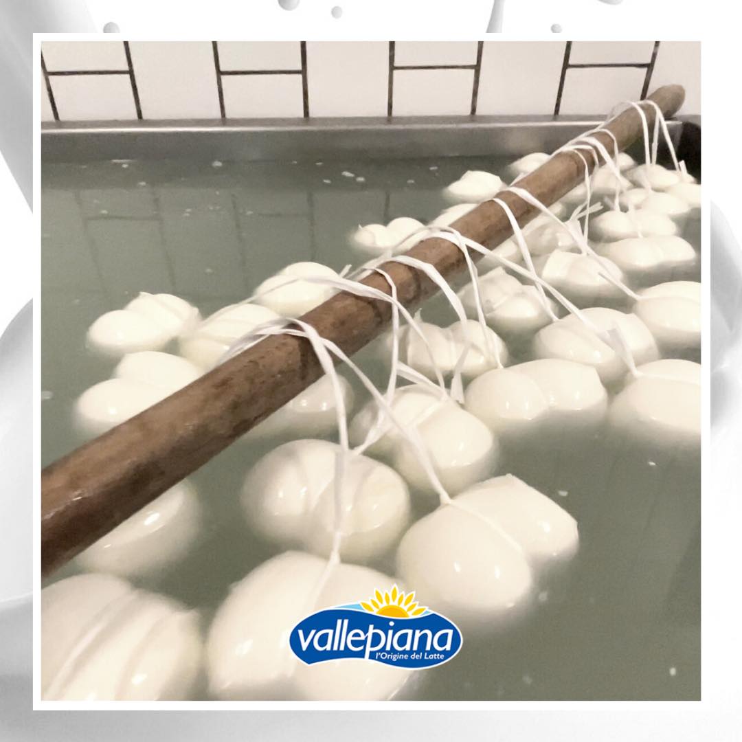 Mozzarella