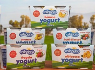 Yogurt